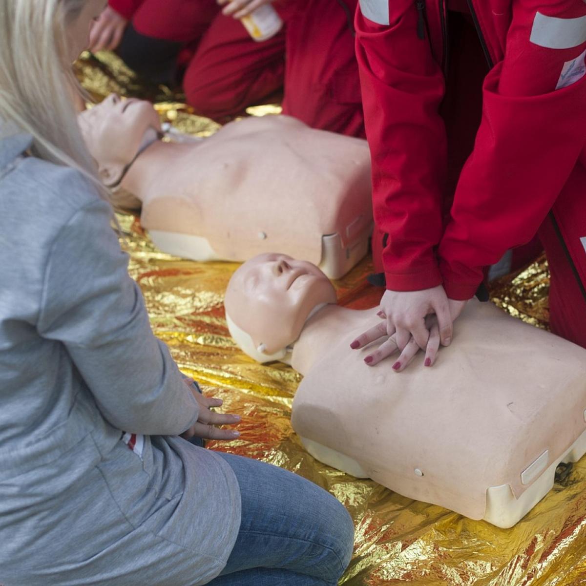 The Importance of First Aid Training in Snakebite Cases